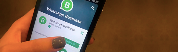 WhatsApp Business: tudo que você precisa saber